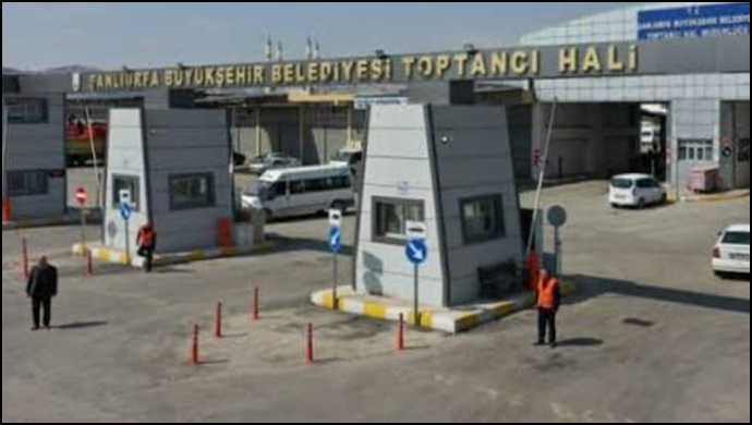 Türkiye'de Toptancı Hali Sayıları Açıklandı : Şanlıurfa kaçıncı sırada?