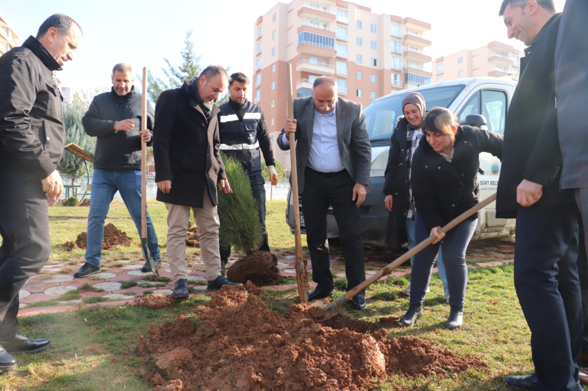 Siirt Belediyesinden ağaçlandırma etkinliği