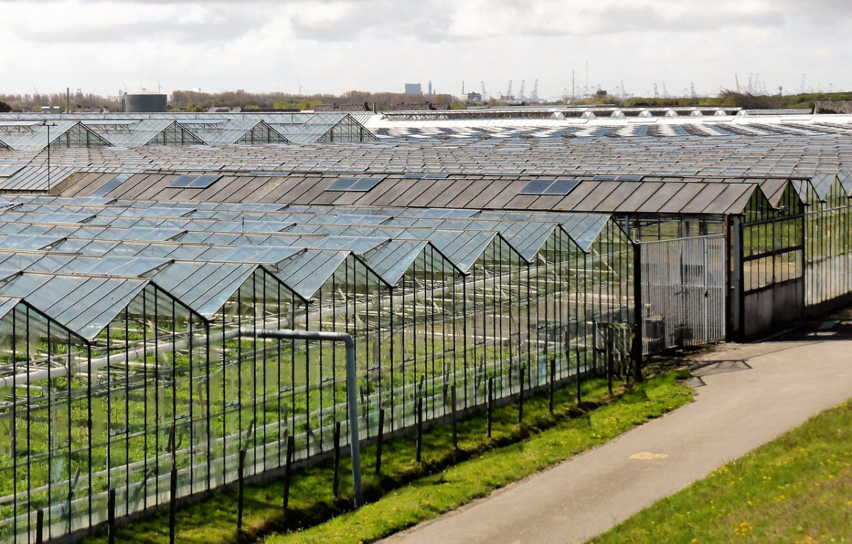 Agrotech'ten arazi alımı