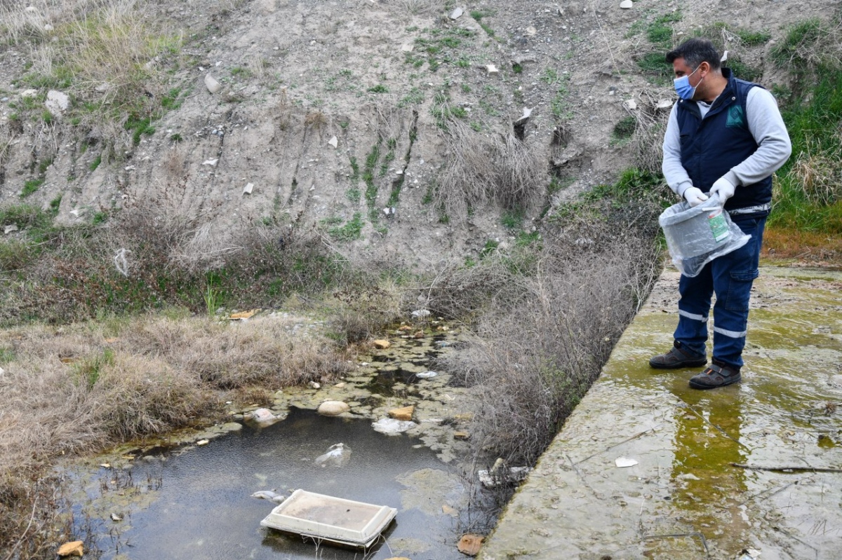 Osmaniye Belediyesi, sivrisinek ve karasinek üreme alanlarında çalışmalarını sürdürüyor