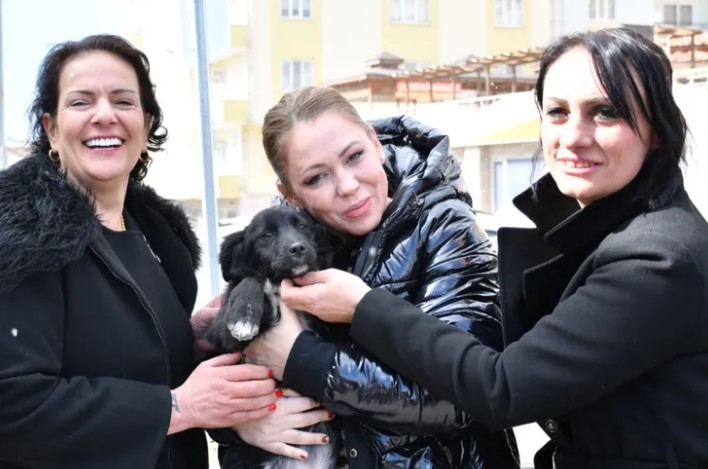 Manisa’da Sokak Hayvanları İçin İş Birliği