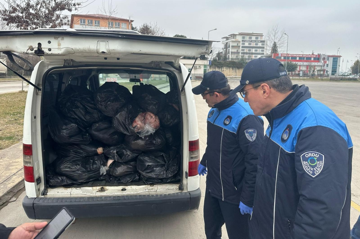 Ordu'da 300 kg kuyruk yağına el konuldu