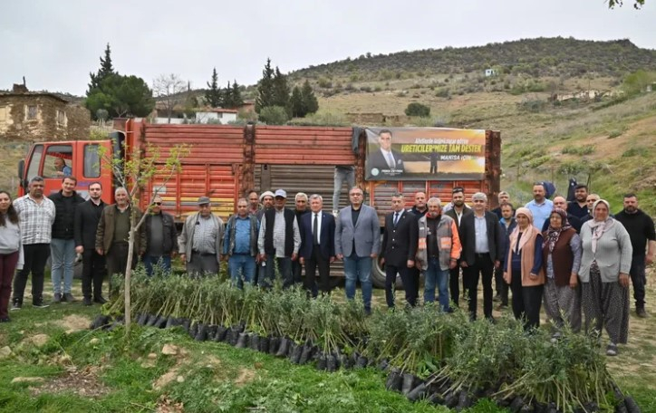 Manisa Büyükşehir, Yangınla Zarar Gören Alanları Yeşillendiriyor