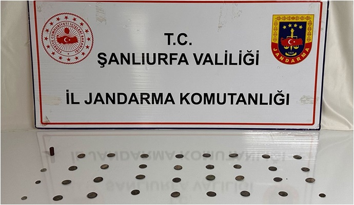 Siverek’te Tarihi Eser Operasyonu