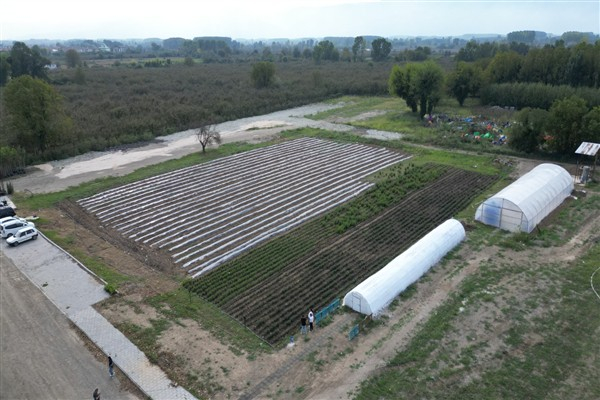Düzce'de Tarım Akademisi öğrencilere yönelik sahada deneyim kazandırmayı hedefliyor