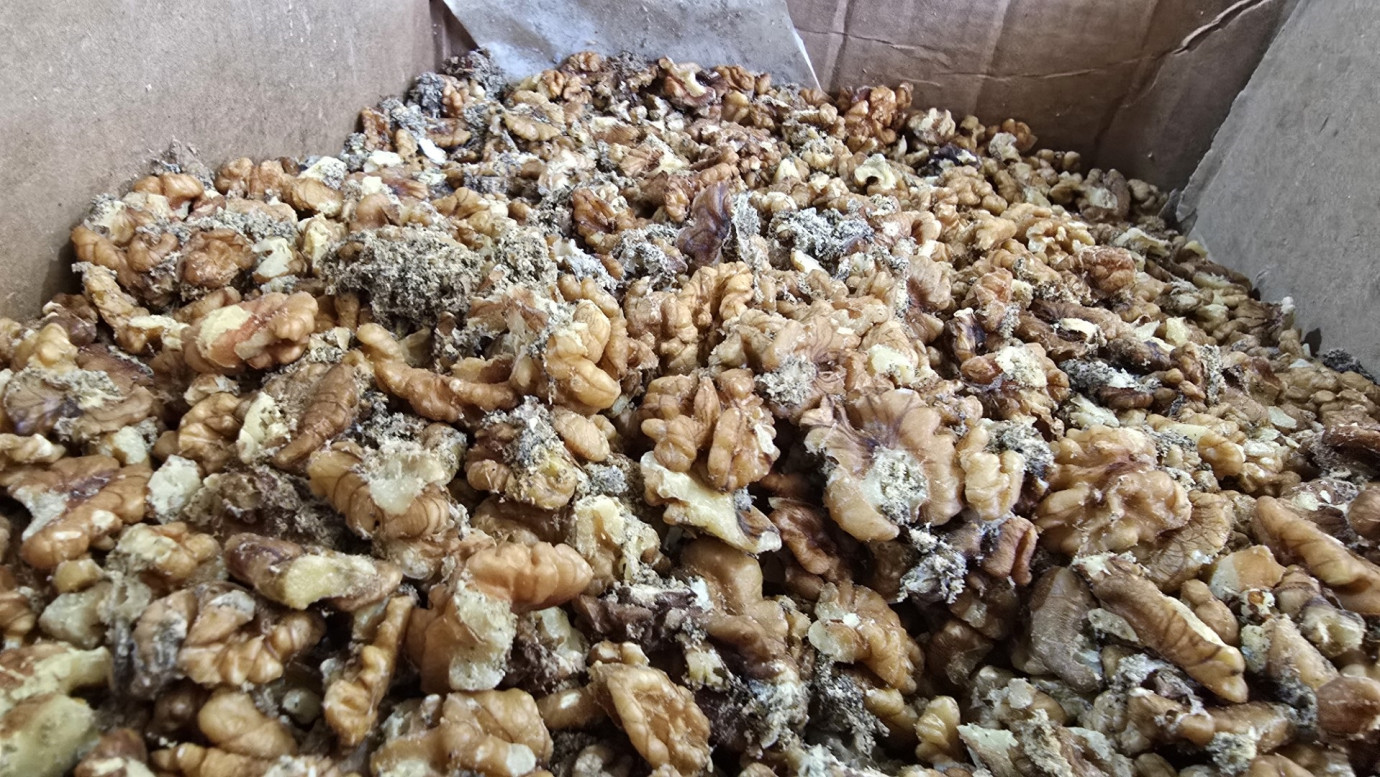Baklava İmalatçısında Tonlarca Bozulmuş Ceviz Ele Geçirildi-(VİDEO)