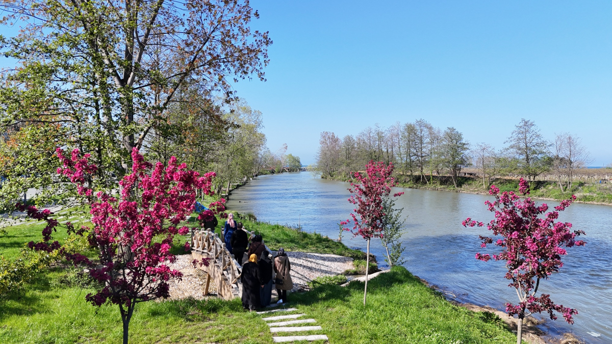 Ordu'da parklar ile yeşil alanlara çeşitli ağaç ve süs bitkileri ekildi