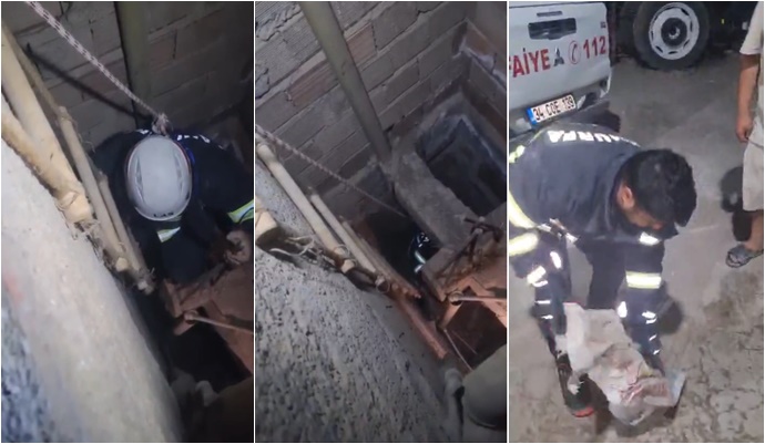 Akçakale’de 3 Yavru Kedi İtfaiye Tarafından Kurtarıldı