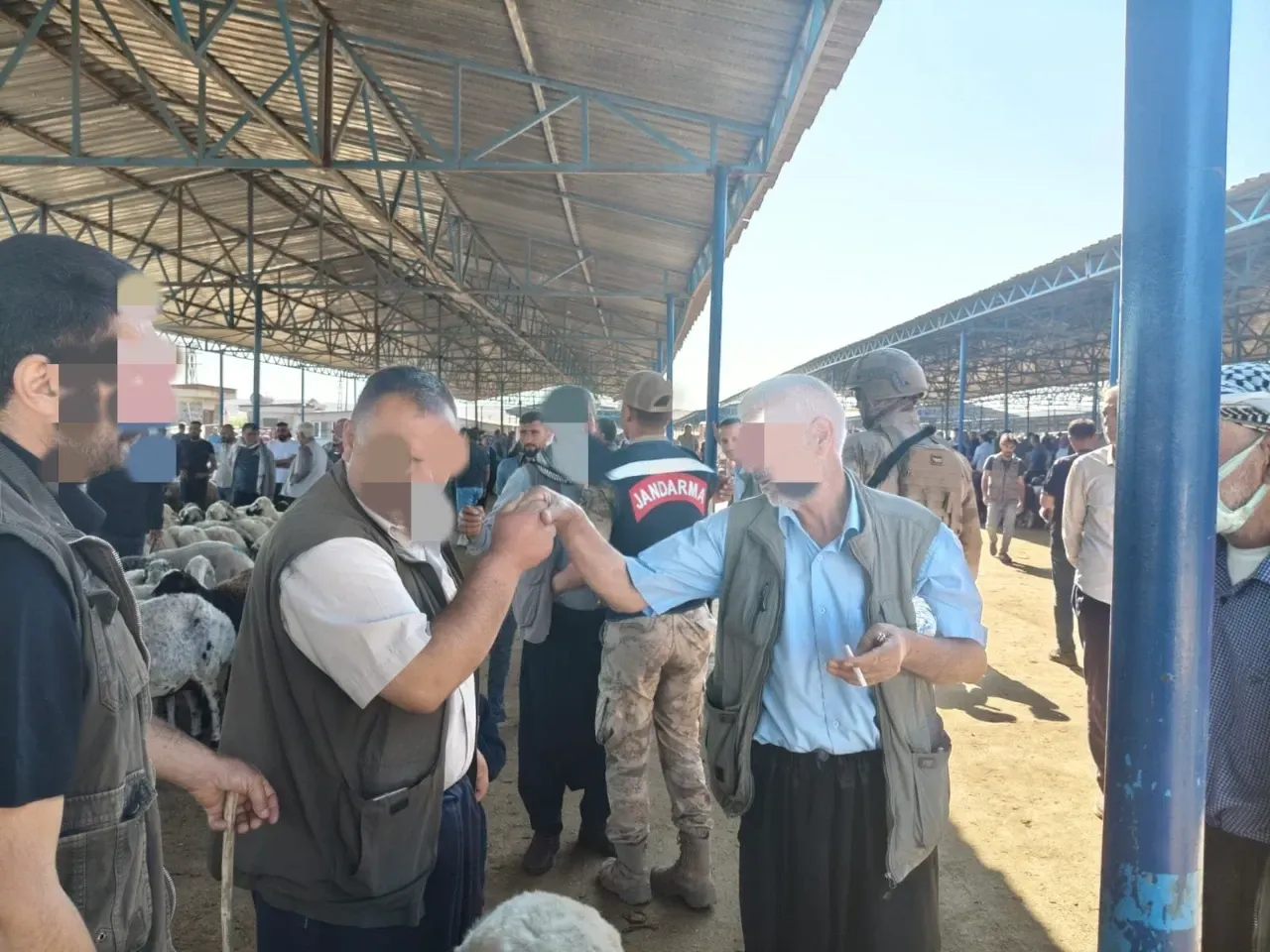 Siverek’te Kurban Bayramı Tedbirleri: Hayvan Pazarında Jandarma Denetimi