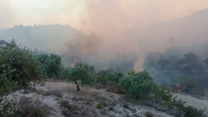 Antakya'da yangın sürüyor: 500 kişi tahliye edildi