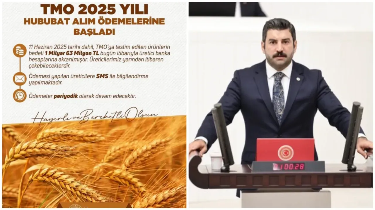 TMO, 2025 Yılı Hububat Alım Ödemelerine Başladı