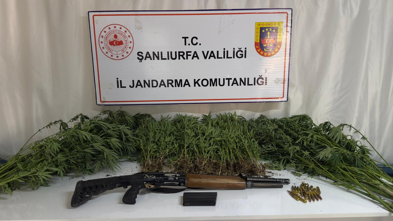 Jandarmadan Uyuşturucuya Geçit Yok: 3 İlçede Operasyon