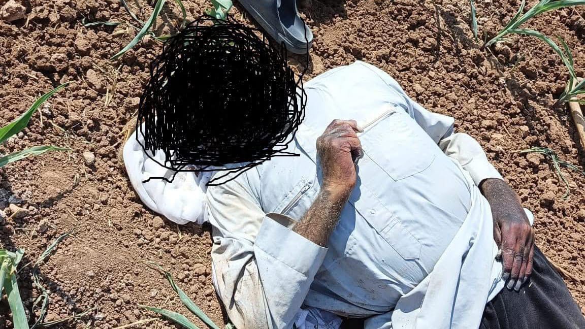 Şanlıurfa Akçakale'de Mısır Tarlasından Erkek Cesedi Bulundu