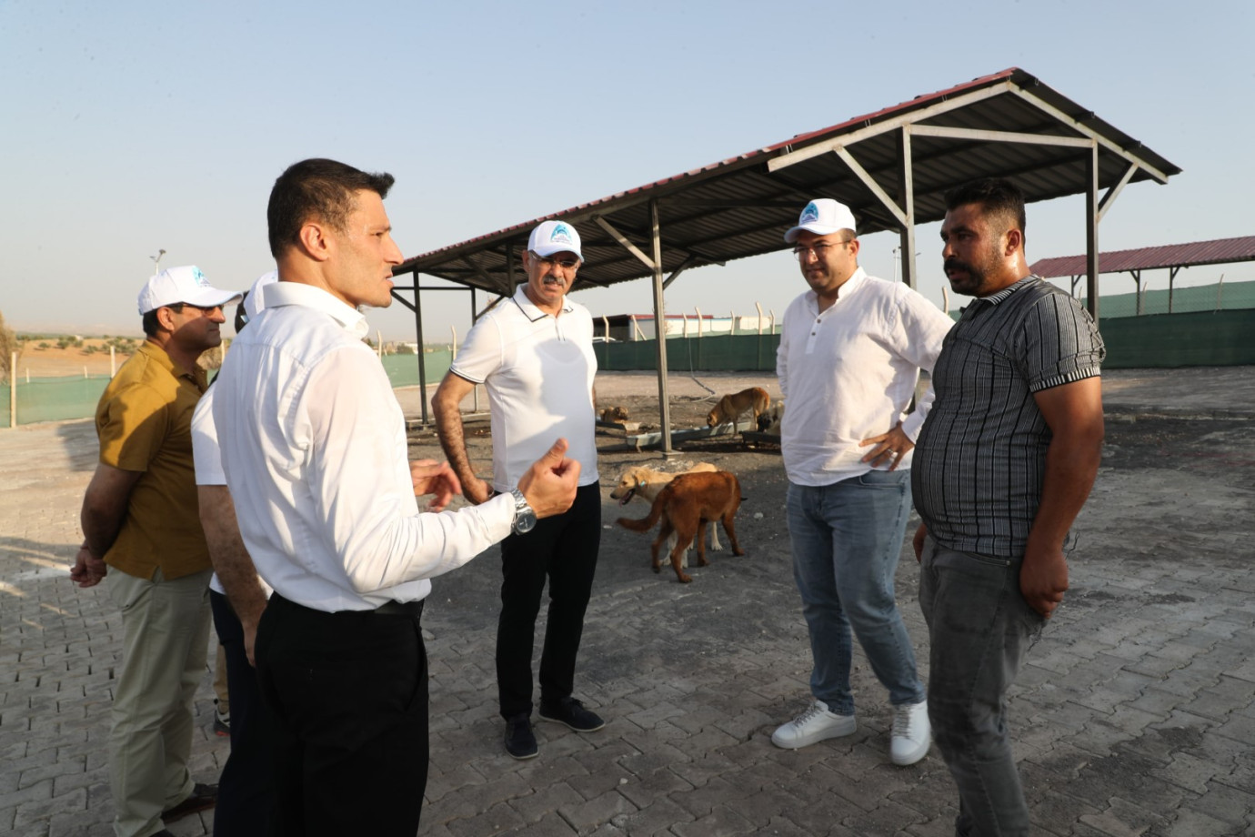 Eyyübiye, Sokak Hayvanları Sorununu Çözdü