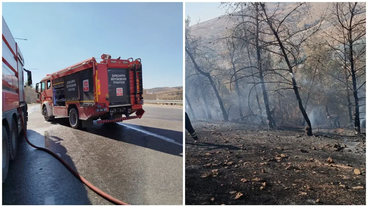 Eyyübiye Direkli Mahallesi’nde Çıkan Orman Yangını Söndürüldü