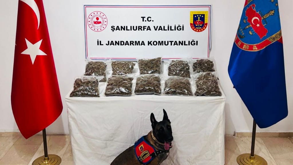 Karaköprü’de Uyuşturucu Operasyonu: 6 tutuklama