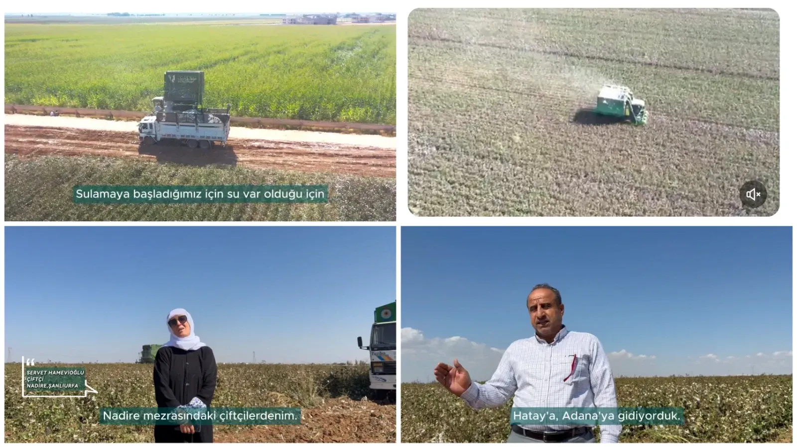 DSİ Genel Müdürü Akif Balta’dan Şanlıurfa Çiftçilerine “Hasat” Mesajı