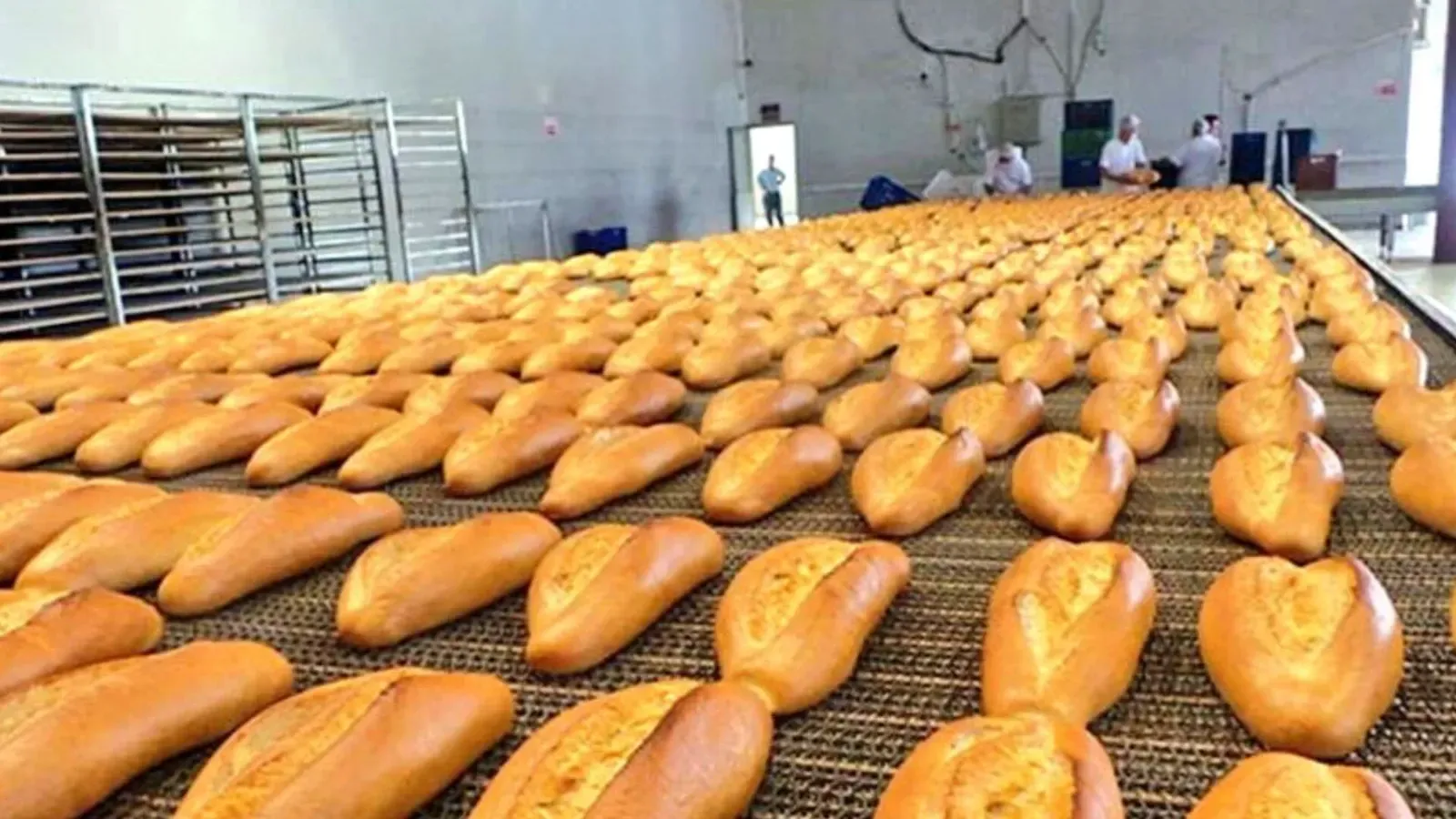 Şanlıurfa Halk Ekmek’e Yüzde 40 Zam
