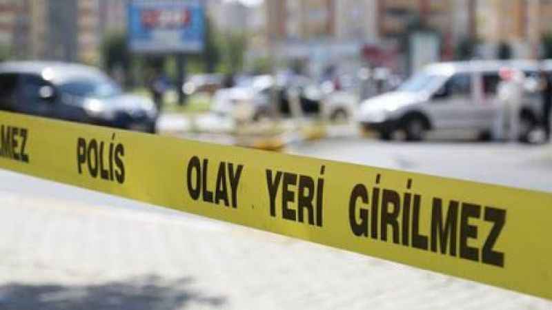 Ceylanpınar’da Yol Kenarında Silahla Vurulmuş İki Genç Bulundu