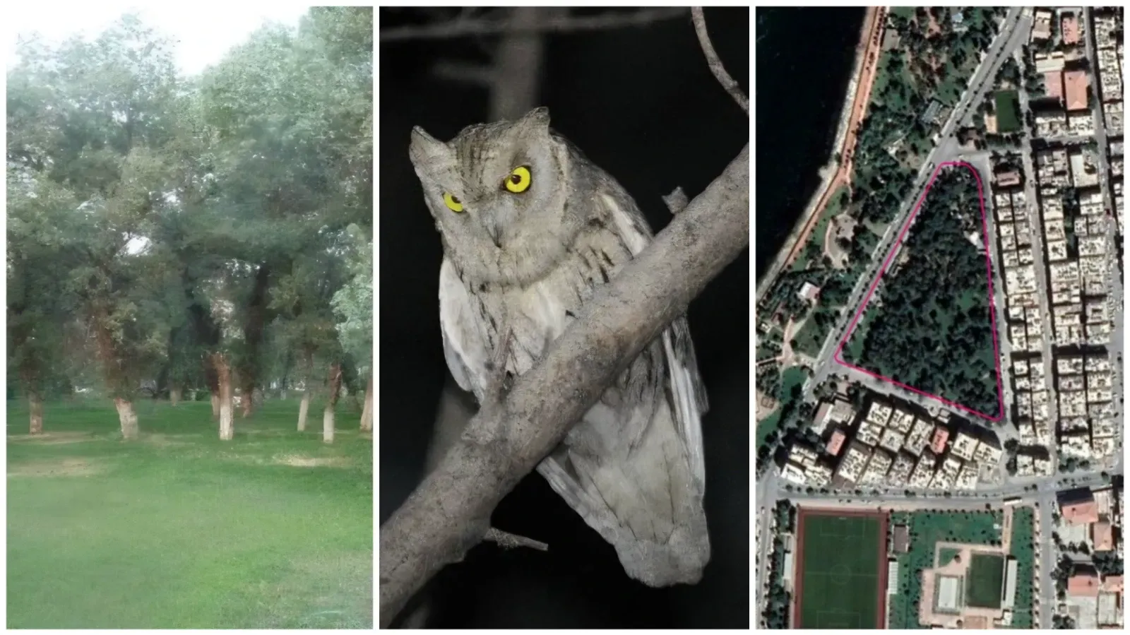 Birecik Söğütlük Parkı Koruma Altına Alındı