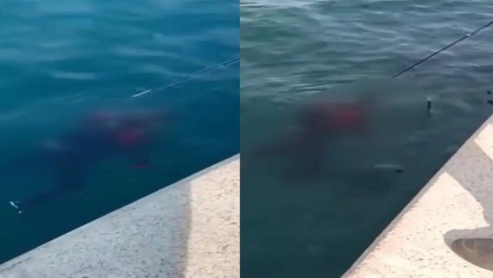 İstanbul’da denizde cenaze bulundu