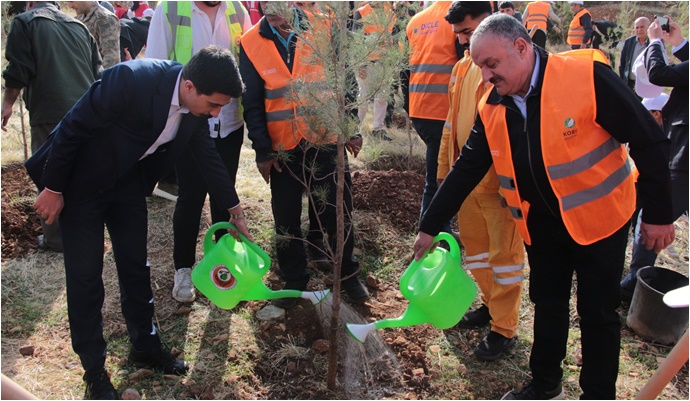DEPSAŞ Enerji’den Makam Dağı’na 3 Bin Fidanlık Yeşil Dokunuş