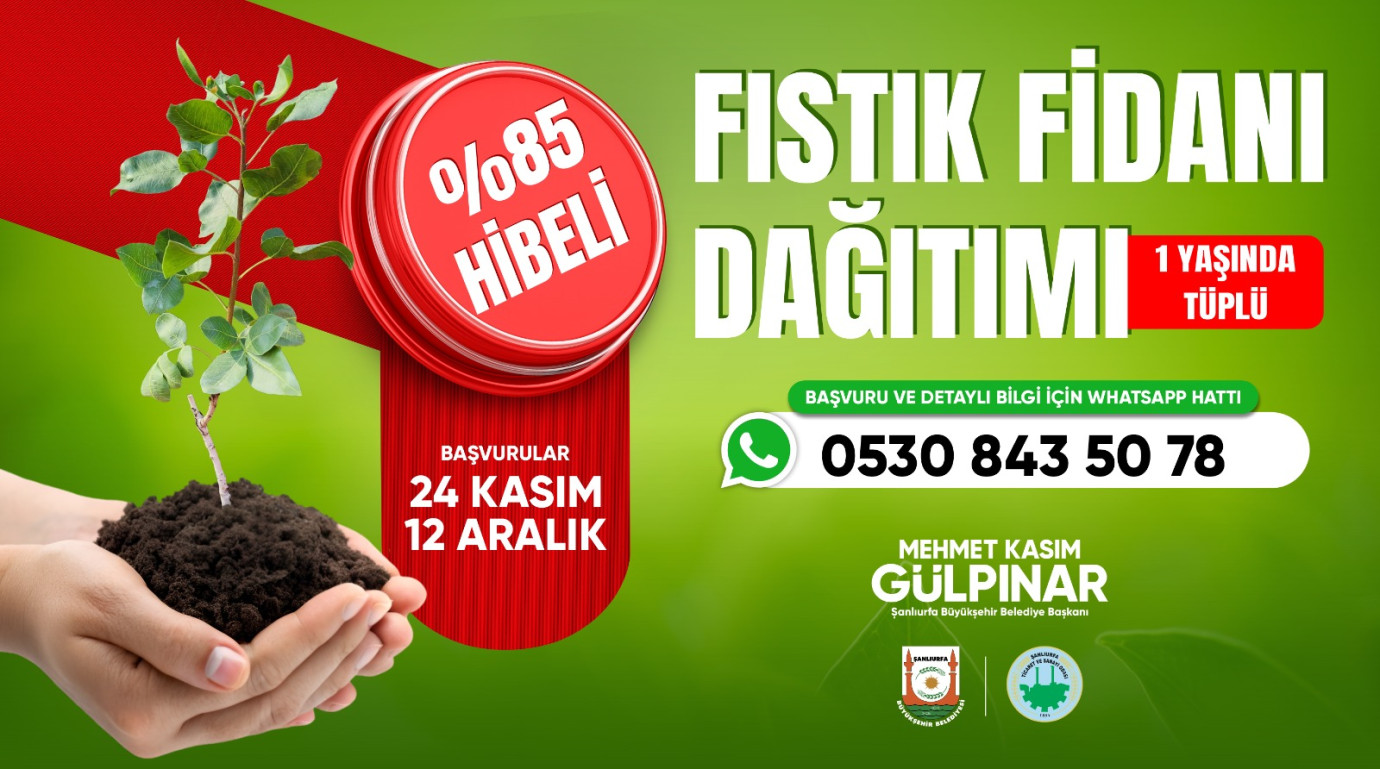  Şanlıurfa’da Çiftçiye %85 Hibeli Fıstık Fidanı Desteği Başladı