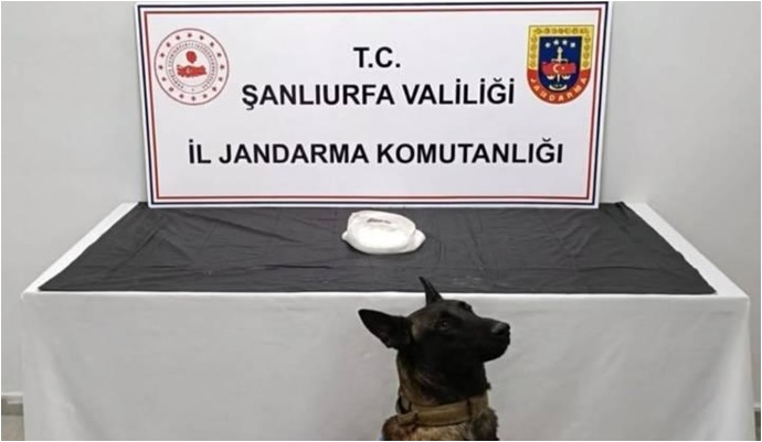 Şanlıurfa 'da narkotik operasyonu