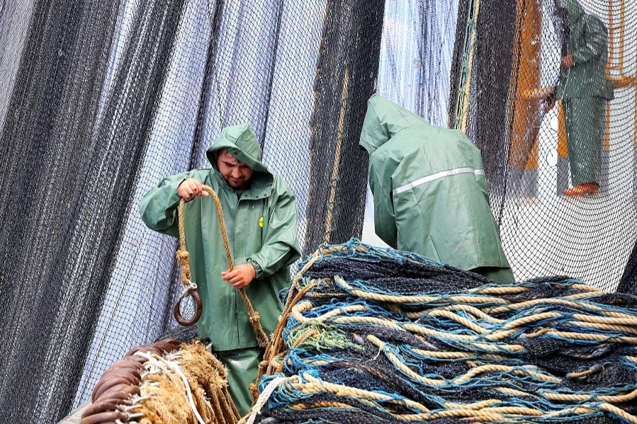 Av Sezonunun İlk Üç Ayında Hamsi Zirvede