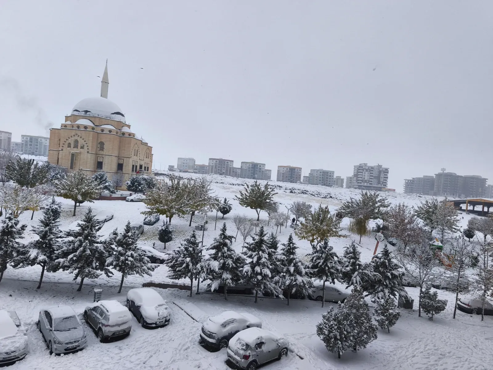 Şanlıurfa’da Yoğun Kar Yağışı Hayatı Olumsuz Etkiledi: Yollar Kapandı, Ağaçlar Kırıldı