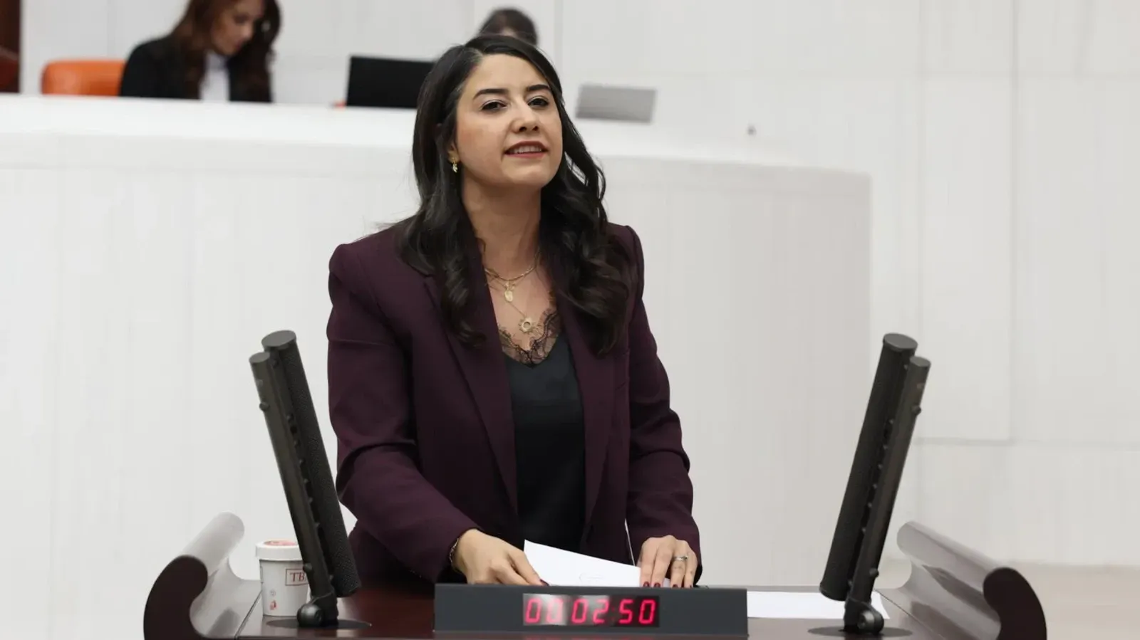 Milletvekili Ayan’dan Bakan Yumaklı’ya çiftçi borçları ve sulama zammı sorusu