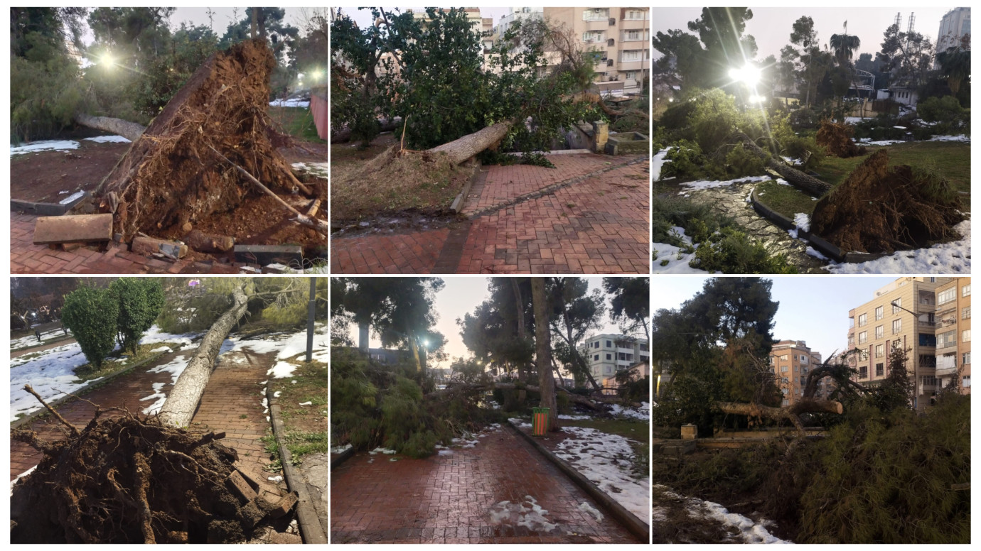 Şehitlik Çamlık’ta Onlarca Çam Ağacı Zarar Gördü