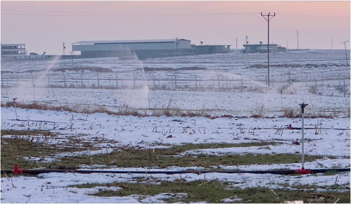 Karla Kaplı Arazide Kaçak Elektrikle Sulama-(VİDEO)