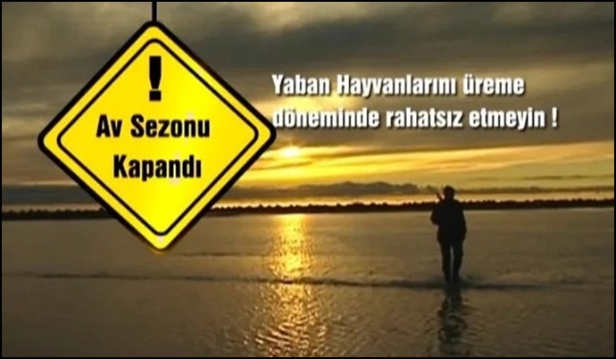 Av sezonu kapandı, avlama yasaklandı