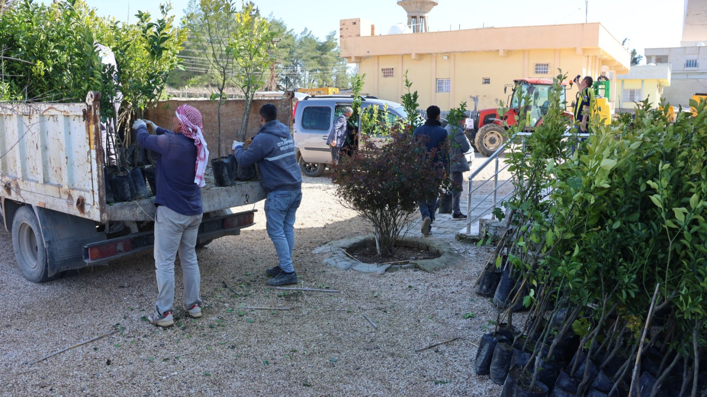 Ceylanpınar’da Yeşil Seferberlik: 6 Bin Meyve Fidanı Toprakla Buluşuyor