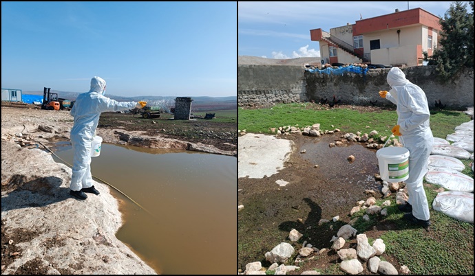 Bozova Belediyesinden Haşereyle Mücadele Çalışması