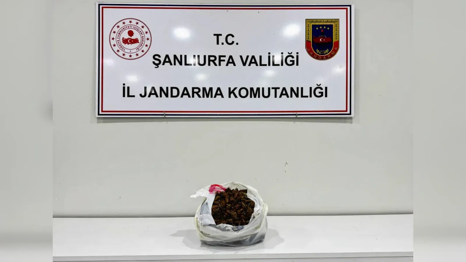 Viranşehir’de Uyuşturucu Operasyonu: 1 Kilogram Skunk Ele Geçirildi