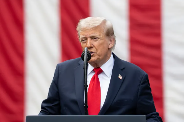 Trump: Seçimlerde hile yapıyorlar