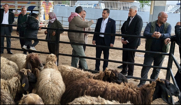 CHP Şanlıurfa İl Başkanı Ferhat Karadağ: Hayvan Pazarında Tablo Endişe Verici