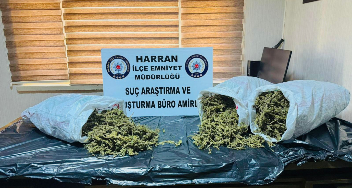 Şanlıurfa’da 8 Kilo 240 Gram Esrar Ele Geçirildi: 1 Tutuklama