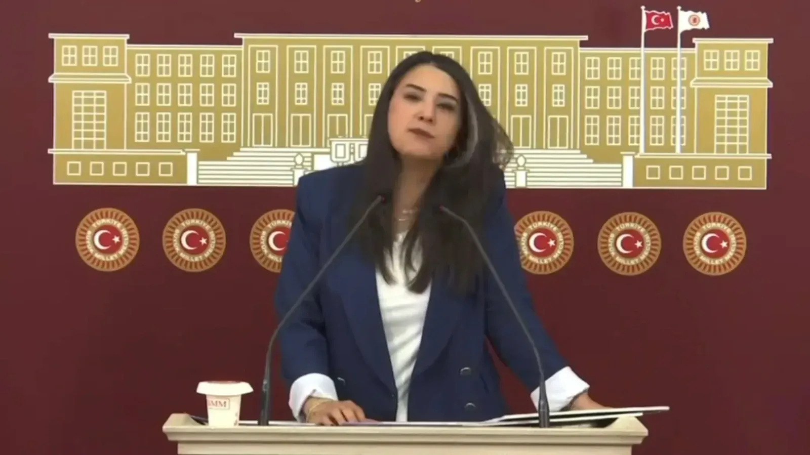 DEM Partili Ayan’dan Şanlıurfa’daki Hekim Eksikliğine Tepki