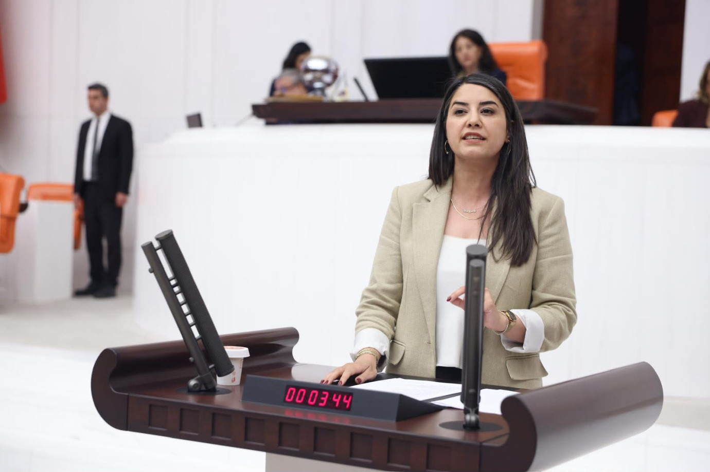Milletvekili Ayan, TMO’nun Hububat Alım Fiyatlarını Meclis Gündemine Taşıdı