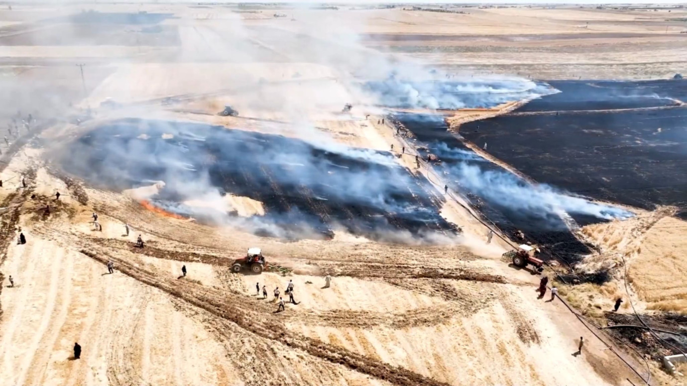 HARRAN'DA BUĞDAY TARLASI YANGINI: 50 DÖNÜM ARAZİ ZARAR GÖRDÜ