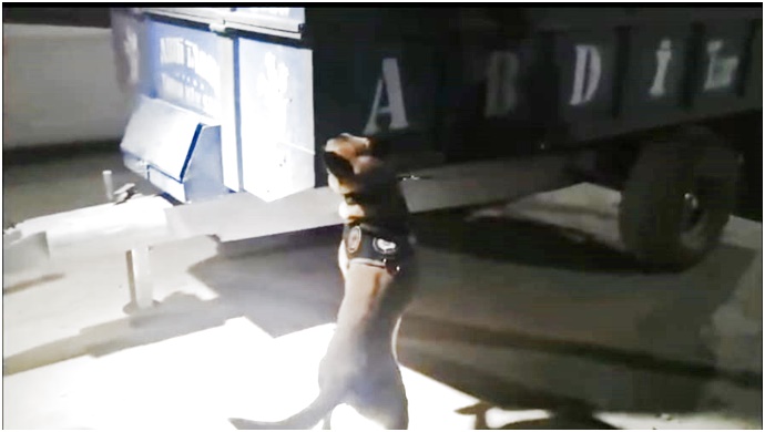 Şanlıurfa'da traktör kasasında 25,1 kilogram skunk bulundu: 1 gözaltı