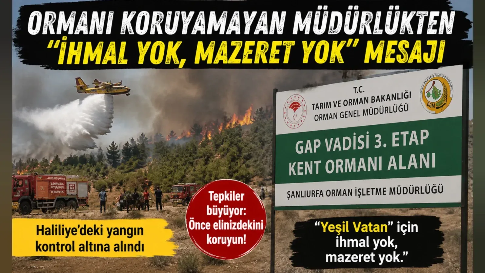 Ormanı Koruyamayan Müdürlükten 