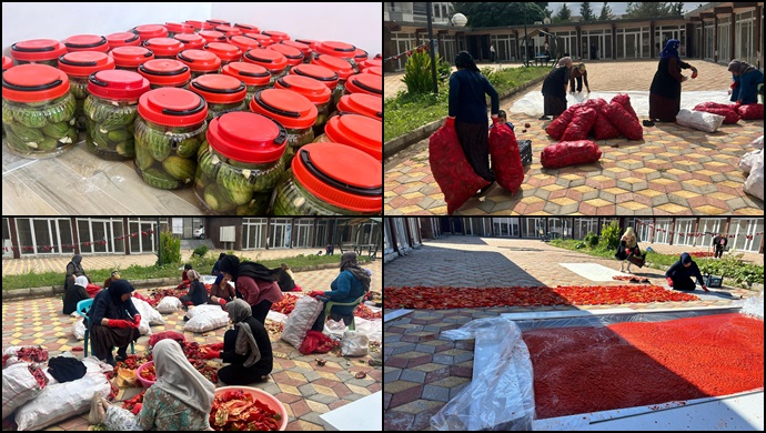 Viranşehir’de Kadınlara Salça ve Biber Makinesi Desteği