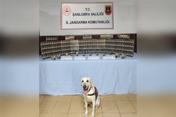 Şanlıurfa'da bin 320 adet gümrük kaçağı sigara ele geçirildi