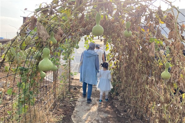 Diyarbakırlı kadınlar, Agroekoloji İklim Okulu’nu gezdi