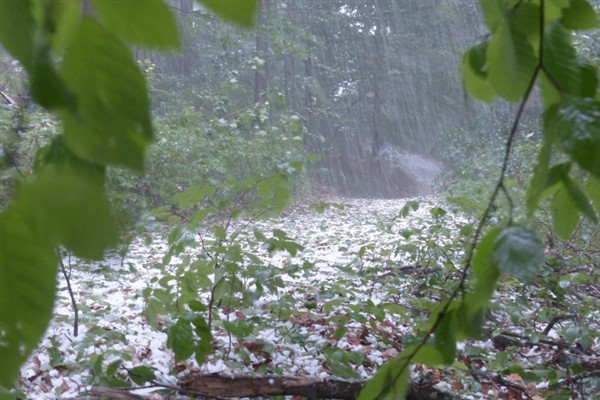 Meteoroloji’den Orta Karadeniz ve İç Anadolu için kuvvetli yağış ve rüzgâr uyarısı