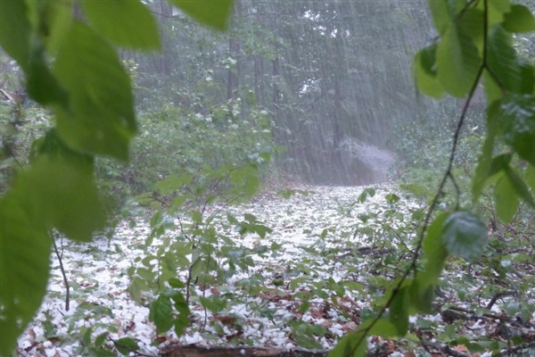 Meteoroloji’den kuvvetli yağış ve çığ tehlikesi uyarısı